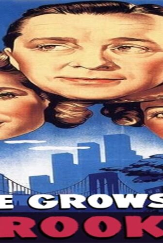 فيلم A Tree Grows in Brooklyn 1945 مترجم