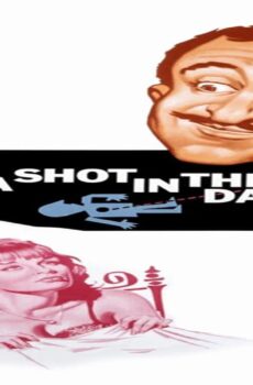 فيلم A Shot in the Dark 1964 مترجم