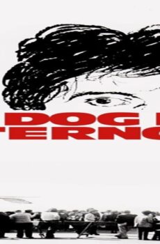 فيلم Dog Day Afternoon 1975 مترجم