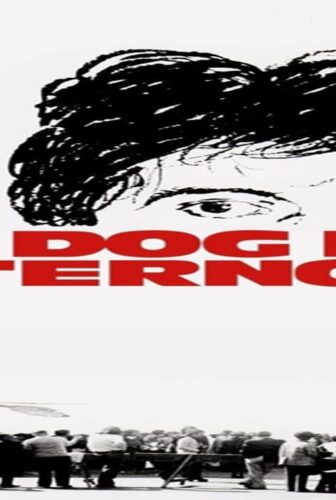 فيلم Dog Day Afternoon 1975 مترجم