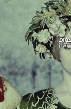 فيلم The Color of Pomegranates 1969 مترجم