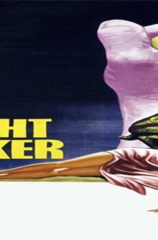 فيلم The Night Walker 1964 مترجم