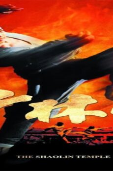 فيلم Shaolin Temple 1982 مترجم