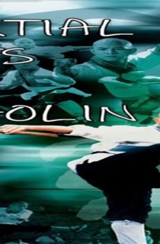 فيلم Martial Arts of Shaolin 1986 مترجم