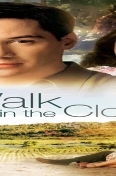 فيلم A Walk in the Clouds 1995 مترجم