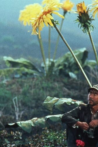 فيلم Dreams 1990 مترجم