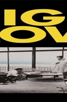فيلم High and Low 1963 مترجم