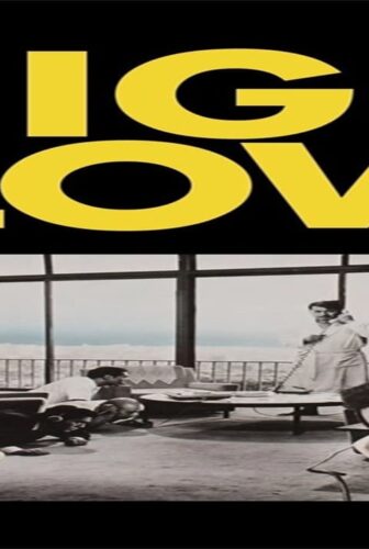فيلم High and Low 1963 مترجم