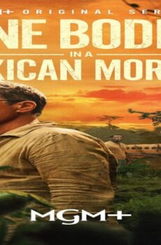 Nine Bodies in A Mexican Morgue