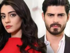 مسلسل العروس الحلقة 24 الرابعة والعشرون مترجمة