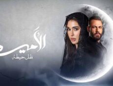 مسلسل الاميرة ظل حيطة الحلقة 12 الثانية عشر شاهد فور يو