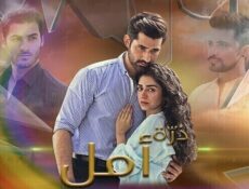 مسلسل ذرة أمل الحلقة 10 العاشرة والاخيرة مترجم