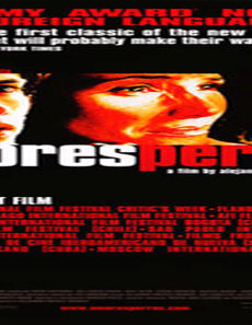 فيلم Amores Perros 2000 مترجم