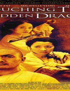 فيلم Crouching Tiger Hidden Dragon 2000 مترجم
