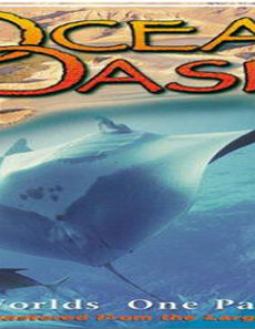 فيلم Ocean Oasis 2000 مترجم