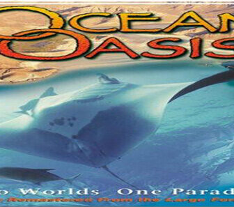 فيلم Ocean Oasis 2000 مترجم