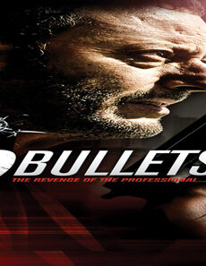 فيلم 22 Bullets 2010 مترجم