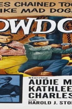 فيلم Showdown 1963 مترجم