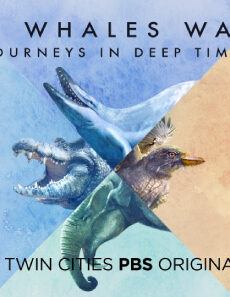 فيلم When Whales Walked Journeys In Deep Time 2019 مترجم