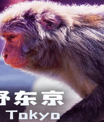 فيلم Wild Tokyo 2020 مترجم