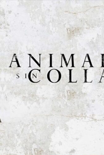 فيلم Animales sin collar 2018 مترجم