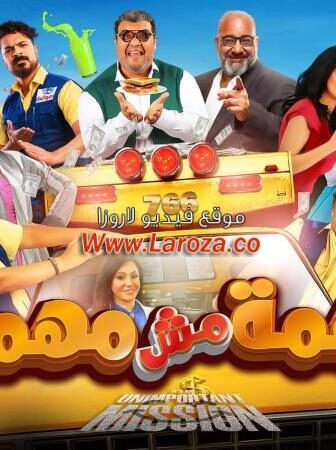 فيلم مهمة مش مهمة