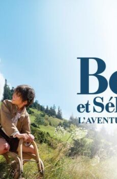 فيلم Belle et Sébastien, l’aventure continue 2015 مترجم