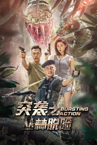 فيلم Bursting Action