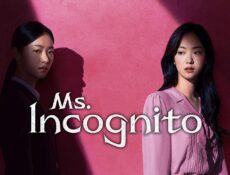 مسلسل السيدة انكوغنيتو Ms Incognito الحلقة 2 الثانية مترجمة