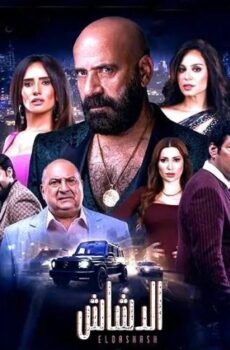 فيلم الدشاش