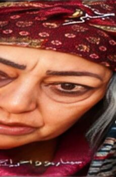 مسلسل ام شميط الحلقة 14 الرابعة عشر