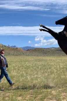 فيلم Heroes Were Cowboys 2021 مترجم