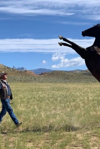 فيلم Heroes Were Cowboys 2021 مترجم
