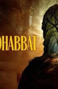 فيلم Saali Mohabbat 2025 مترجم