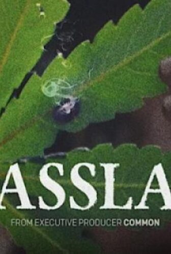 فيلم Grassland 2024 مترجم