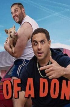 Son of a Donkey