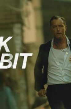 Black Rabbit