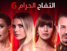 مسلسل التفاح الحرام 6 الموسم 6 الحلقة 16 مدبلجة