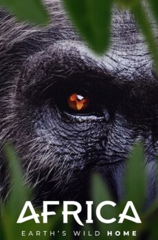 مسلسل Africa Earth’s Wild Home الحلقة 7 مترجمة
