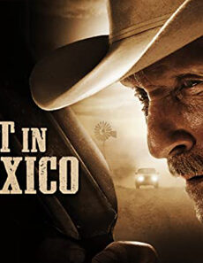 فيلم A Night In Old Mexico 2013 مترجم
