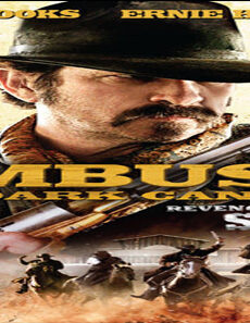 فيلم Ambush at Dark Canyon 2012 مترجم
