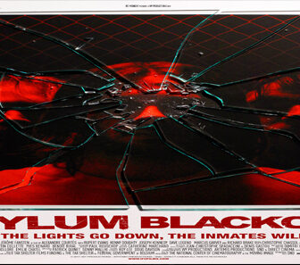 فيلم Asylum Blackout 2011 مترجم