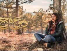 مسلسل دموع فرح الحلقة 8 الثامنة الاخيرة