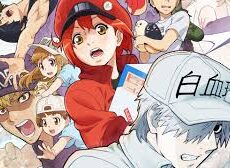 انمي Hataraku Saibou الحلقة 10 العاشرة مترجم