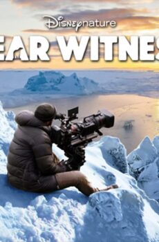 فيلم Bear witness 2022 مترجم