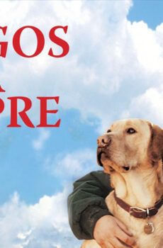 فيلم Far from Home: The Adventures of Yellow Dog 1995 مترجم