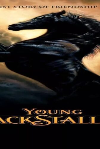 فيلم Young Black Stallion 2003 مترجم