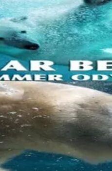 فيلم Polar Bears: A Summer Odyssey 2012 مترجم