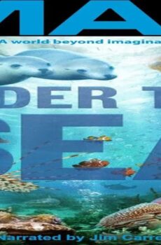 فيلم Under the Sea 3D 2009 مترجم