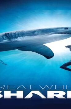 فيلم Great White Shark 2013 مترجم